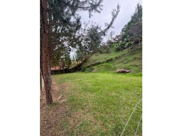 place photo 64