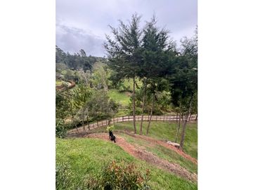 place photo 79