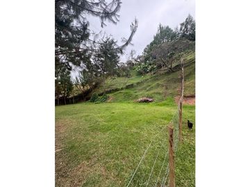 place photo 61