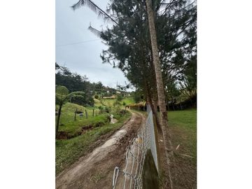 place photo 58