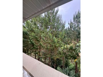 place photo 52