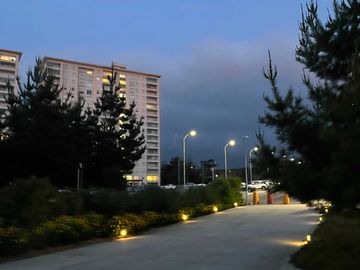 place photo 14