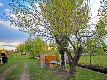 place photo 38