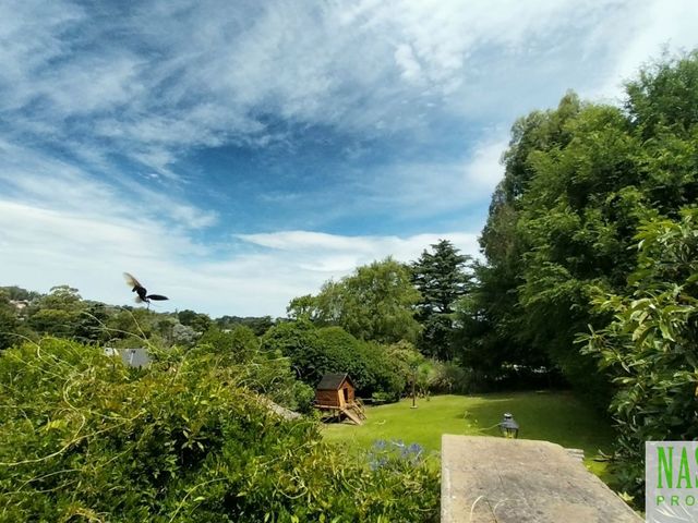 place photo 38