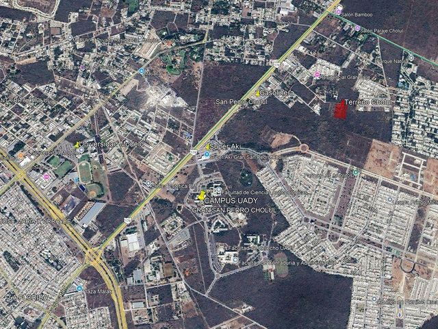 place photo 1