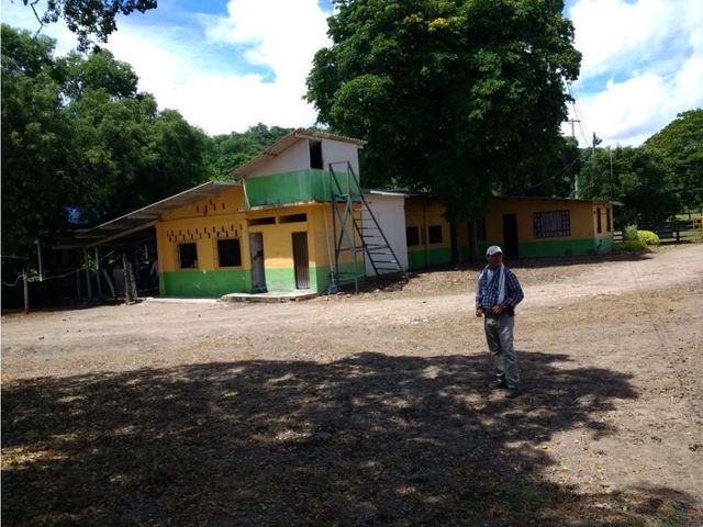 place photo 17