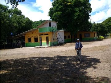 place photo 17