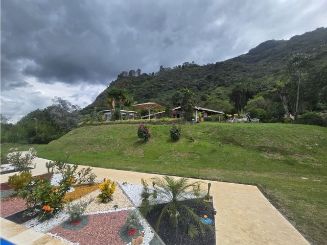 place photo 38