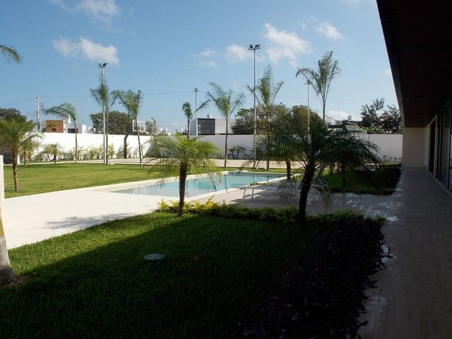 place photo 29