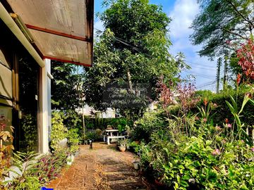 place photo 40