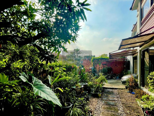 place photo 38