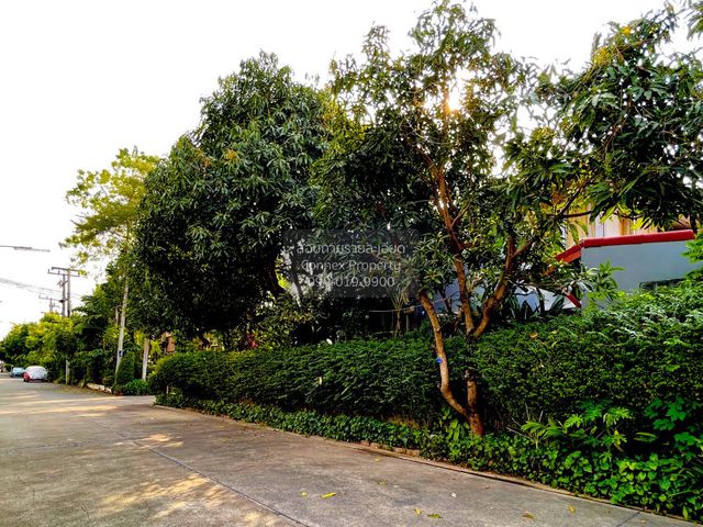 place photo 44