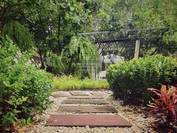 place photo 31