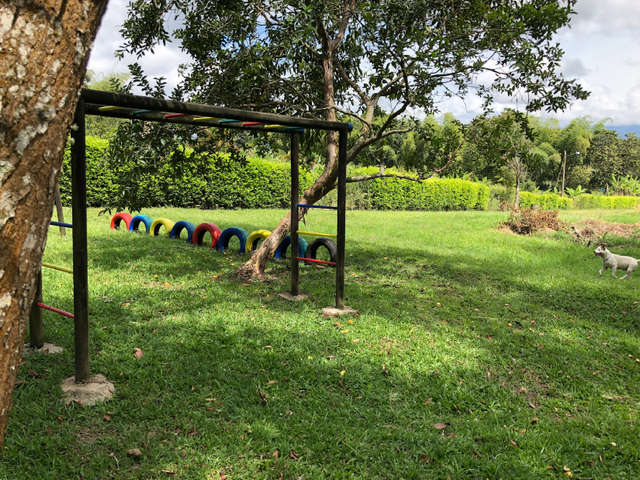 place photo 25