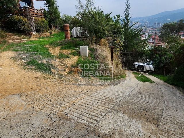 place photo 41