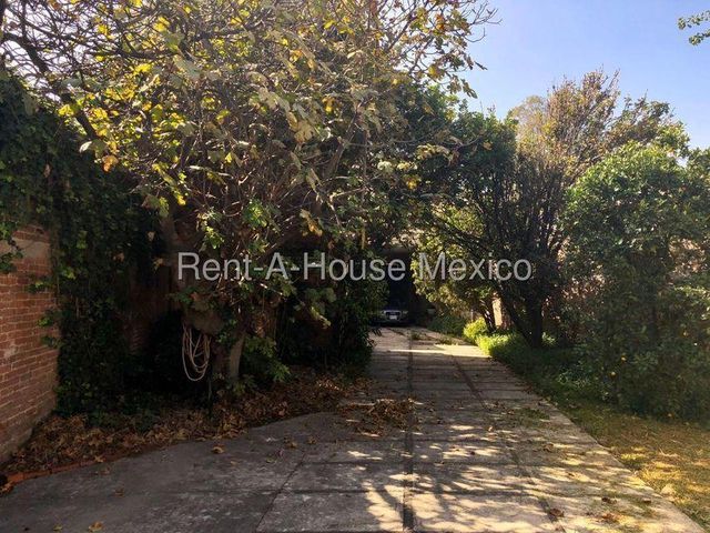 place photo 36