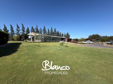 place photo 19