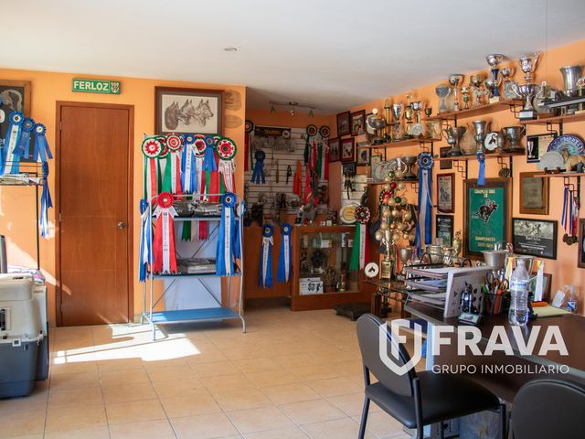place photo 24