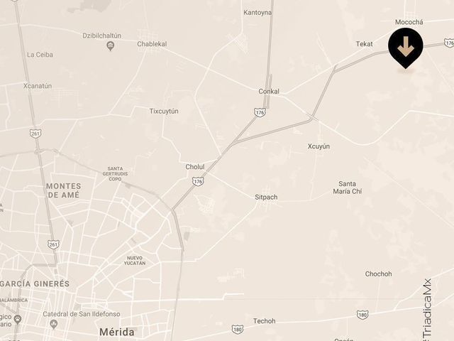 place photo 7