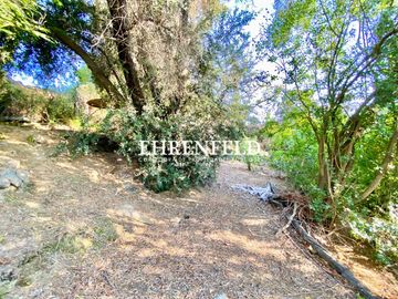 place photo 45