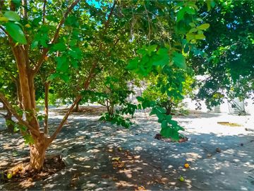 place photo 15
