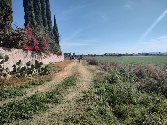 place photo 23