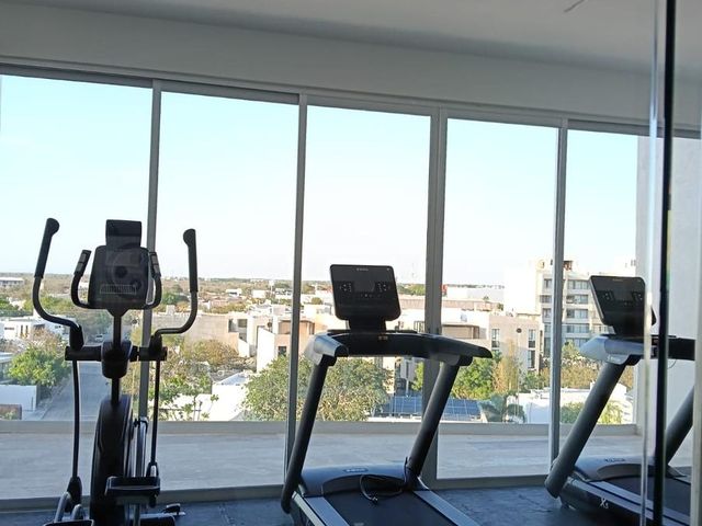 place photo 23