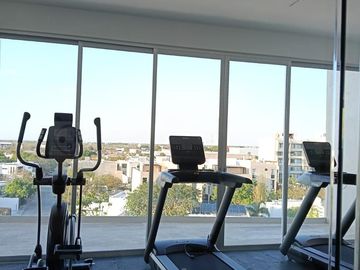 place photo 23