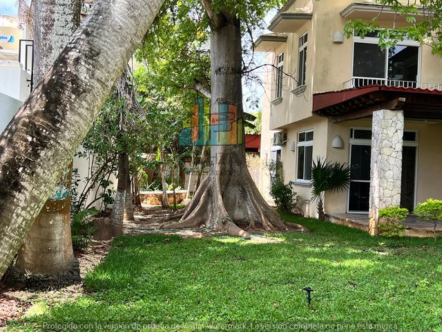 place photo 46