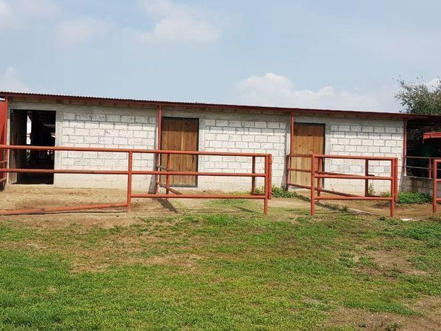 place photo 49