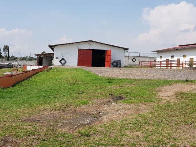 place photo 43