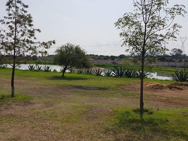 place photo 40