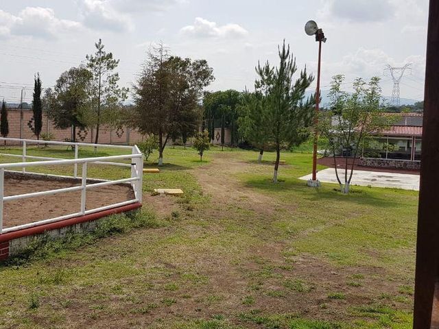 place photo 20