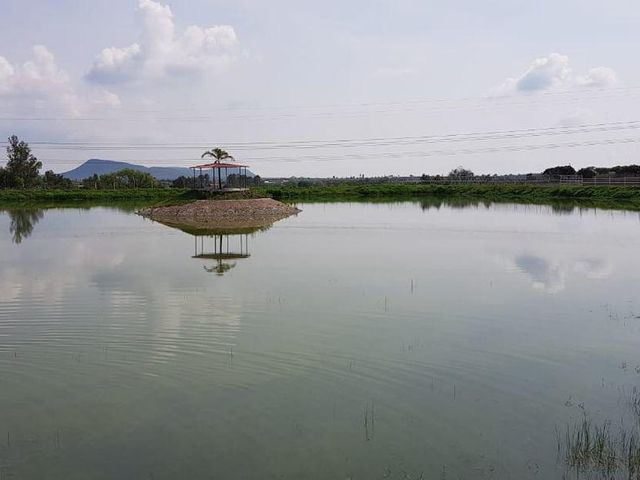 place photo 48