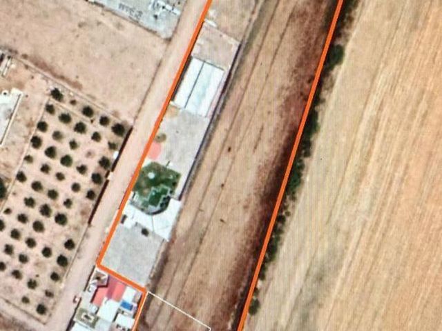 place photo 21