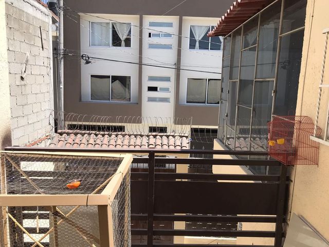 place photo 45