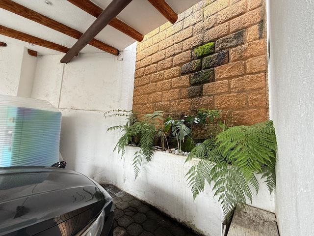 place photo 54