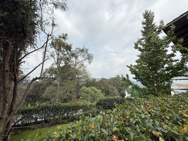 place photo 69