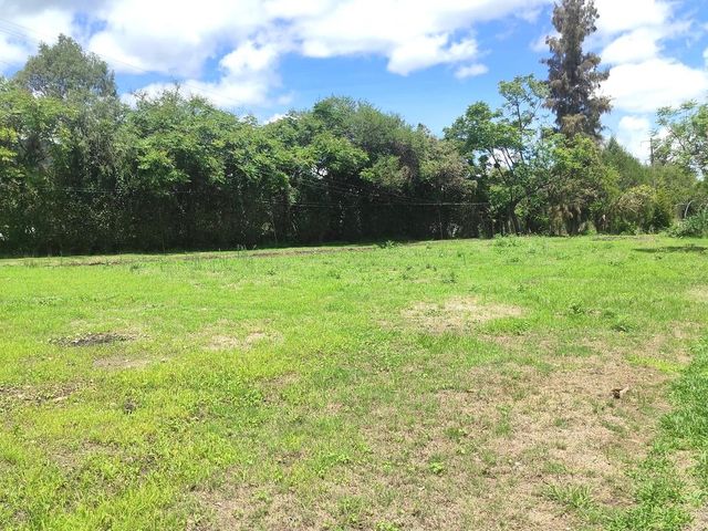 place photo 78