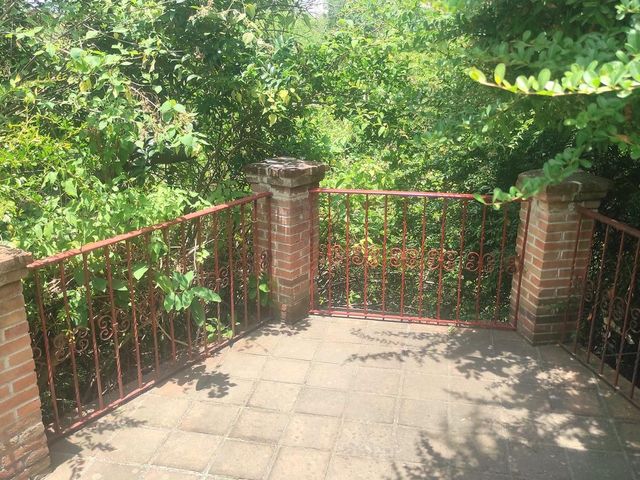 place photo 76