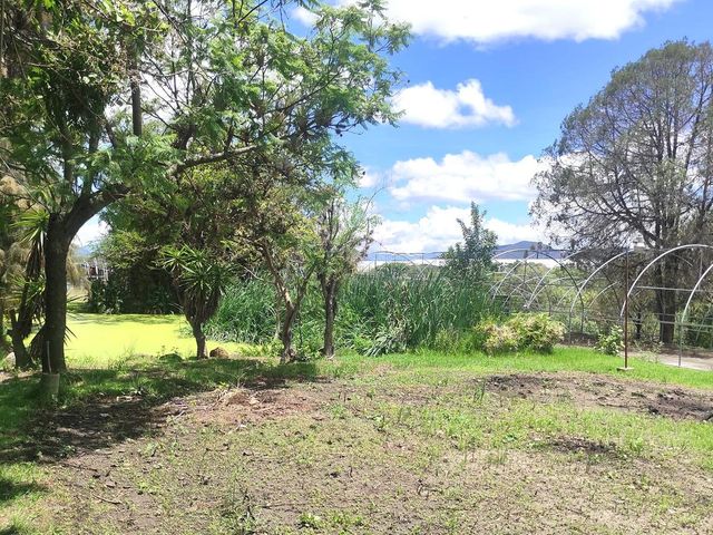 place photo 79