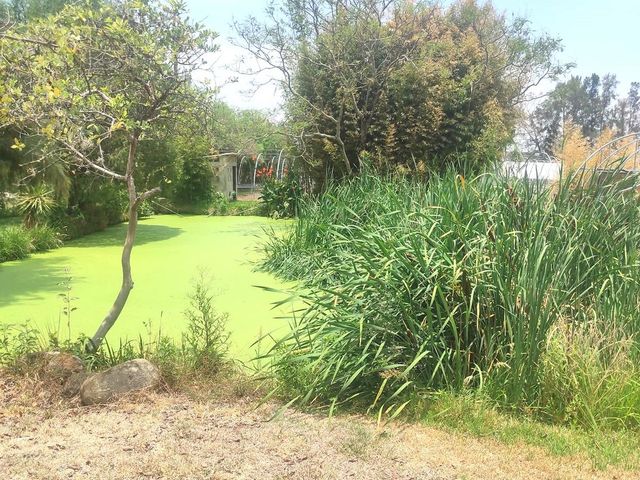 place photo 81