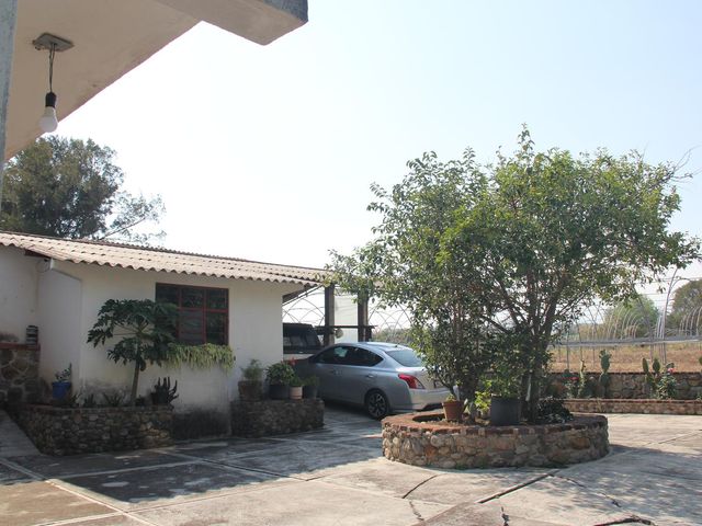 place photo 59
