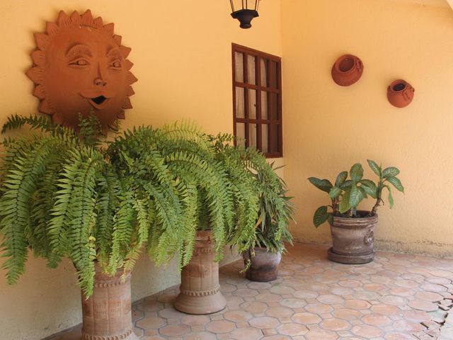 place photo 44
