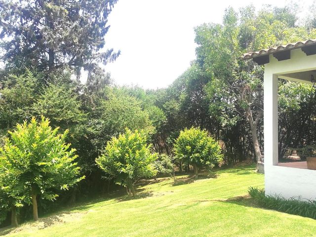 place photo 70