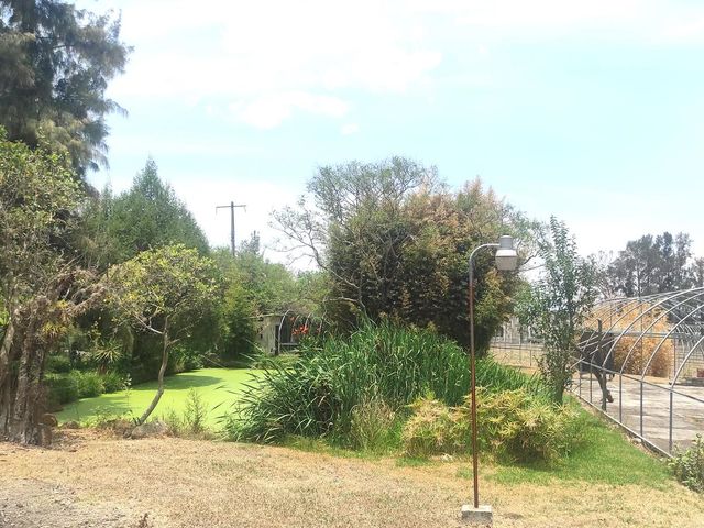 place photo 82