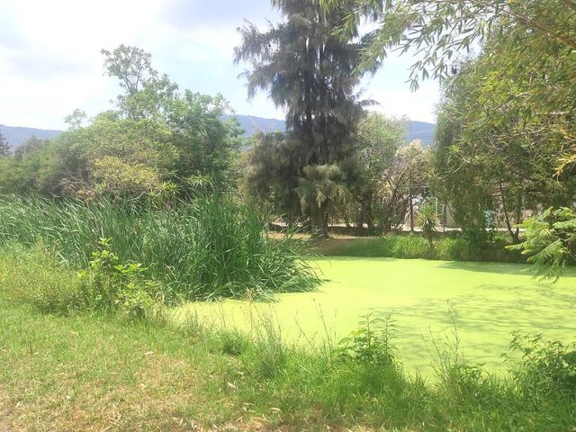 place photo 80