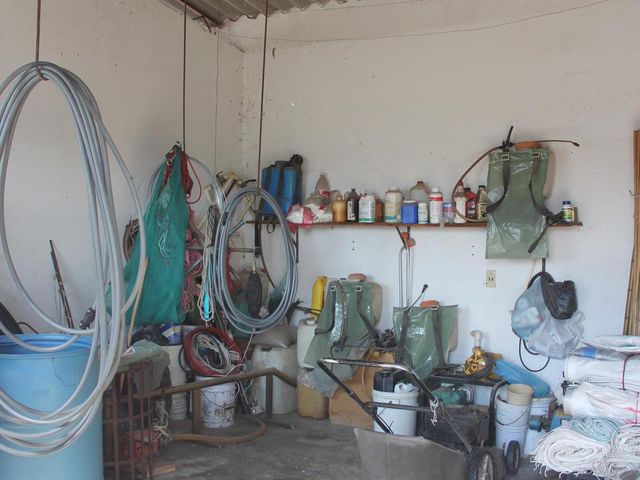 place photo 66