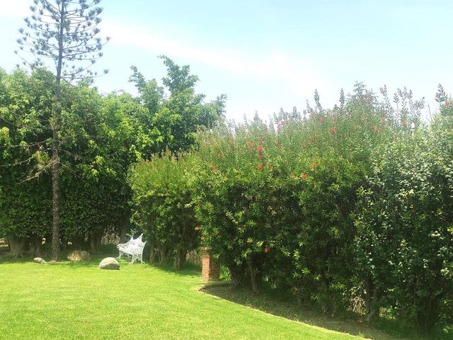 place photo 74