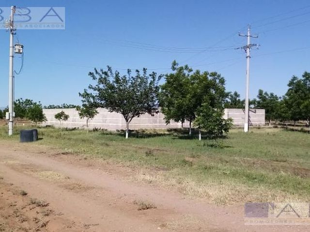 place photo 8